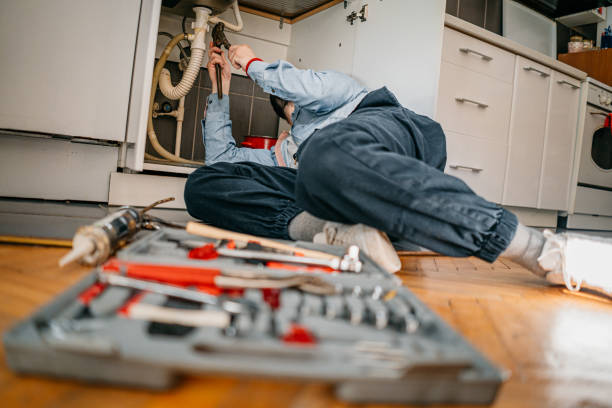 Best Affordable Plumbing Services  in Hale Center, TX